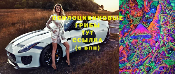 дмт Верхний Тагил